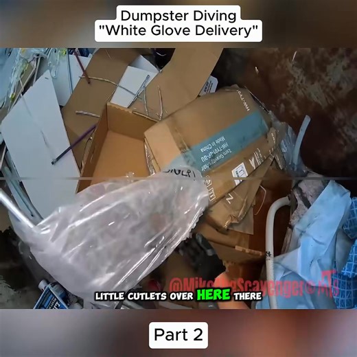 #dumpster #hunter-002 | Anderson Greenholt