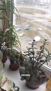 1.4M views · 9.6K reactions | Ukrainian!  | Viral random videos | Facebook