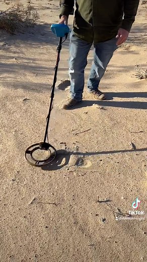 Harbor Freight on Instagram: "The Gordon High Precision #MetalDetector features one touch treasure hunting to find coins, relics, jewelry, gold, and silver. There are five modes for metal type, five depth adjustments, and target depth indication. #HarborFreight"