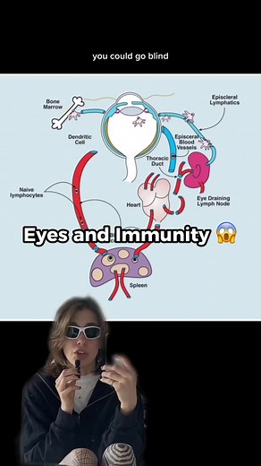 Facts about EYES 👀 #reels #didyouknow #Funfacts #Blind #vision #biology | onlyjayus