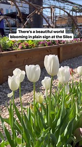 52K views · 153 reactions | What’s the story behind the thousands of...