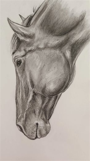 #art #horse #drawing #artist #pastel #draw #petportrait #painting #sketch