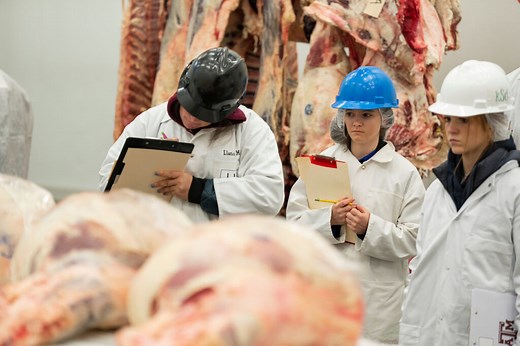 Teaching, Research and Extension | Texas A&M Meat Science