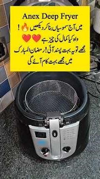 How to use Deep fryer for frying / Anex Deep fryer review / best deep fryer ag 2014