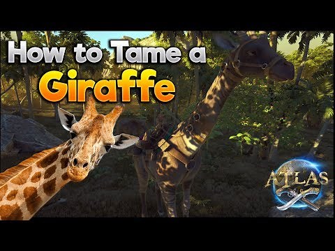 Atlas: HOW TO TAME!! Guide To Taming A [Giraffe] & ATLAS TAMING TIPS!!