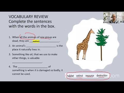 IELTS CLASSES - IELTS Band 5.5 - Lesson 25