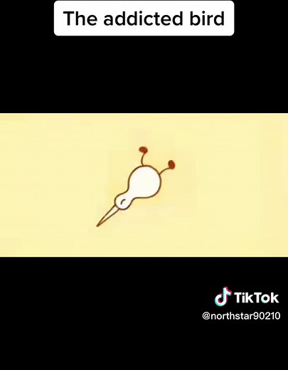 Northstar _19 on TikTok