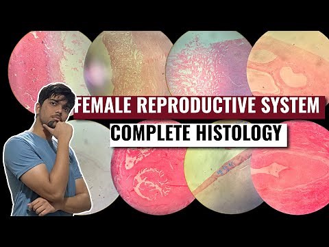 FEMALE REPRODUCTIVE SYSTEM - ALL HISTOLOGY SLIDES IDENTIFICATION - MBBS IOM, TU