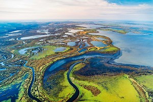 Wood Buffalo National Park: Top Activities To Do