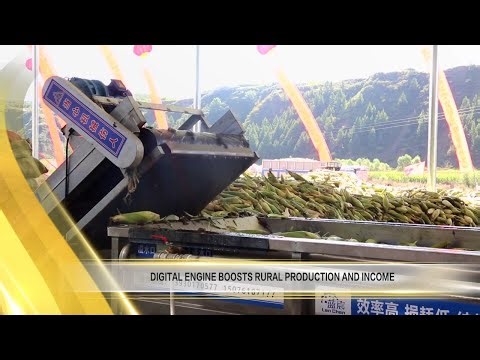 【Exploring ShanXi】digital engine boosts rural production and income数字引擎促进农村生产增收 #山西 #发现山西