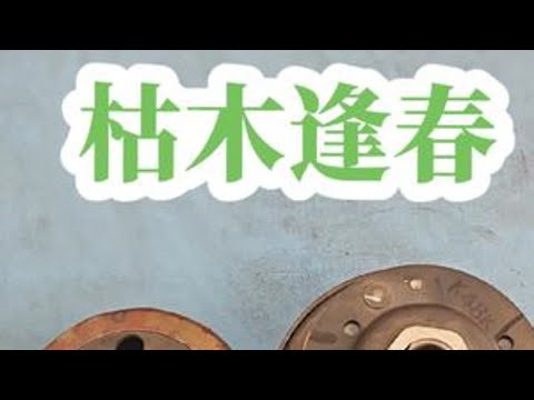 本田睿御110传动全方位优化#摩托车修理 #睿御110 #本田esp发动机 #踏板车传动保养 #传动动平衡