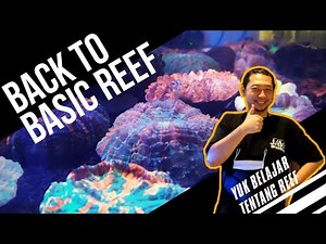 BACK TO BASIC REEF | YUK BELAJAR REEF