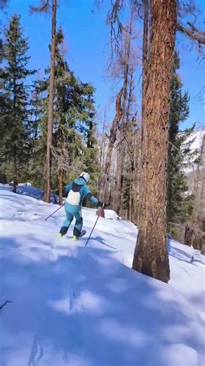 Today's Epic Alpine Skiing Fail: Inside vs Outside the Chute! AlpineSkiing TheGreatWolfKin