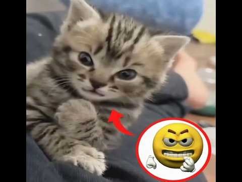 Is this guy a cheater?