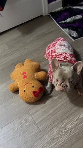 Karen Day on Reels | Facebook