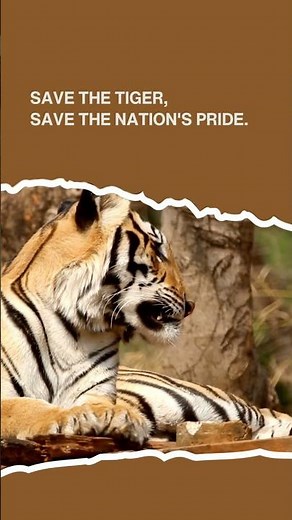 International Tiger Day |🐯Save Tigers, Save Nature 🌍🐅