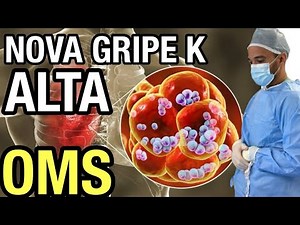 WHO issues global alert after increase in cases of swine flu in Europe.