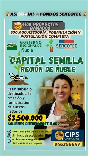 🌱 ¡Atención Ñuble! Ya abrió el FNDR Capital Semilla Emprende 2025, un fondo que entrega hasta $3.5 millones para formalizar tu negocio, crear tu empresa y financiar inversión asesoría. 👤 ¿Quiénes pueden postular? • Personas que aún NO tienen empresa formal. • Que quieran iniciar actividades en 1ra categoría si ganan. • Con una idea clara de negocio y ganas de emprender en serio. 📌 Requisitos clave: ✔ Presentar un Proyecto de Negocio en la plataforma Sercotec ✔ Crear un Plan de Trabajo con acc