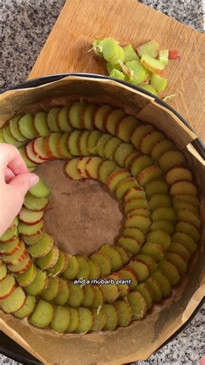 Alice Kelly on Instagram: "I should title this video the *rhubarb* problem"