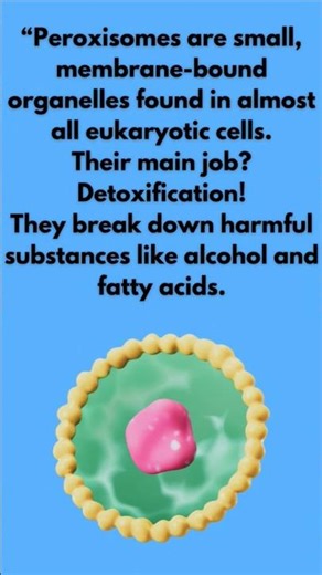 peroxisome explain in 30 sec #zoologynoteswala #exampreparation #bioshorts #zoologystudent #viral