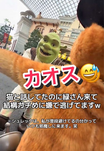 シュレックと猫の愉快なグリーティング