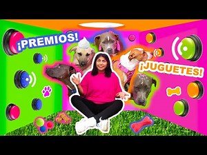 🔴🟢BOTONES MISTERIOSOS CON MIS PERRITOS 🐶 ¡SOLO 1 PARA ESCAPAR! 😱 OSO DESTRUYE TODO!
