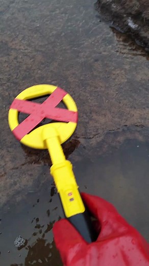 Ancient Treasure Discovery in Shallow Water