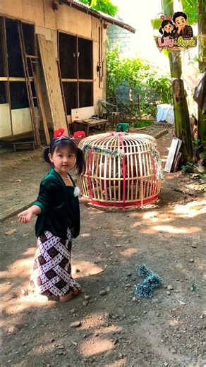 Lily Looks Everywhere for Dad… Turns Out He’s Right Here! 😂🐔