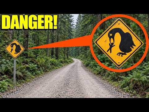 If you see this SIGN in a FOREST…STAY AWAY! (KEEP OUT OF THE WOODS!)