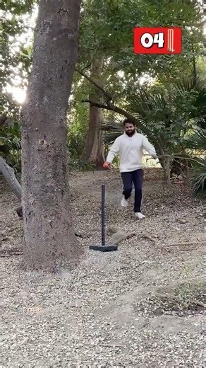 Can I Find 8 Cricket Stumps in the Park? 🏏| Cricket | Cricket Stump #cricket #shorts