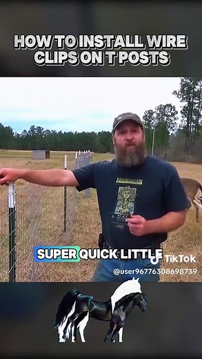 How to Install Wire Clips on T Posts for Fencing