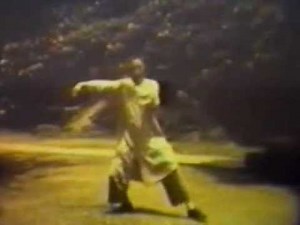 郑曼青太极及推手 Cheng Man Ching Taichi form and push-hands
