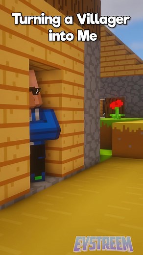 Transforming Minecraft Villager into Player Character