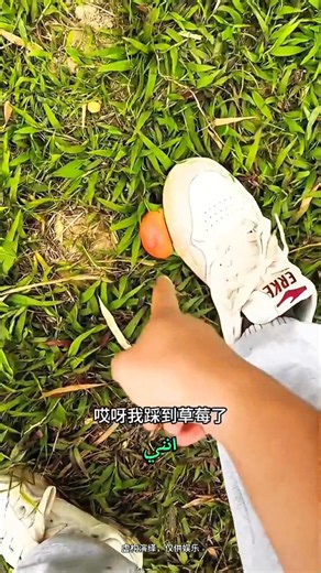 ظننت أنني داست على فراولة… لكن اتضح أنه بطيخ! 😱🍉