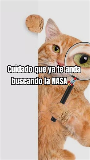 ya me entere👽🫵