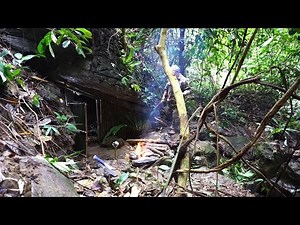 Full video Solo Bushcraft in the rain forest. Build a shelter and spend the night alone - Part 1
