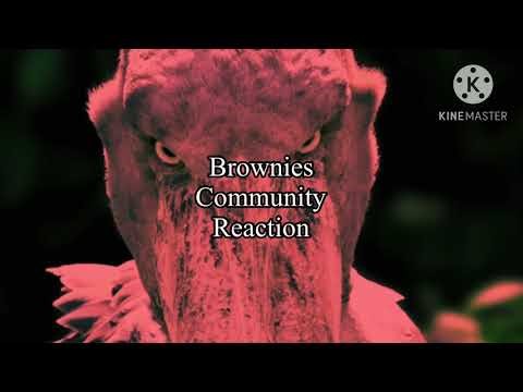 #justicefor@stormxf3 from YouTube false allegation & rejects ￼￼￼