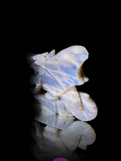 Moonstone dragon,omg,so stunning!who love it?join our live stream!#moonstone #dragoncarving ##dragons #carving #fyp #tk #crystalshop