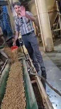 Watch the pellets as they exit the extruder continuously and uniformly! #extruder #fishfeed #farming