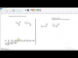 Introduction to the LCM of two monomials