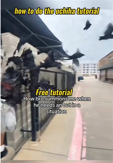 how to do the uchiha tutorial itachi uchiha crows tutorial itachi turns into crows itachi uchiha calling crows itachi uchiha army of crows itachi using his crows how to use itachi crows in storm how to do Itachi Uchiha crow tutorial how to do Uchiha jutsu tutorial Itachi Uchiha crows edit tutorial how to use Itachi crows in Naruto Storm how to edit Itachi turning into crows in CapCut Itachi Uchiha crow clone effect tutorial Itachi cosplay crow summoning edit guide Itachi crows genjutsu CapCut ef