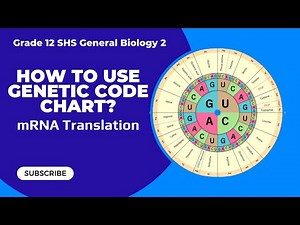 mRNA Translation| Genetic Code Chart| Grade 12 Gen Biology 2 Tagalog