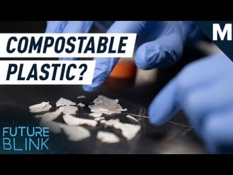 Most ‘Compostable’ Plastics Are Anything But. Enter Polymer-Eating Enzymes | Mashable