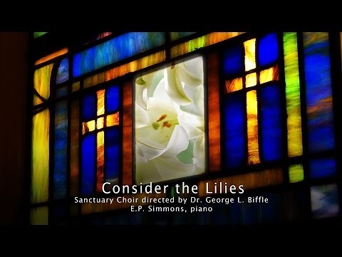 Consider the Lilies, Hoffman/Lyon