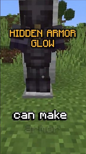 Minecraft Hidden Armor Glow Secret