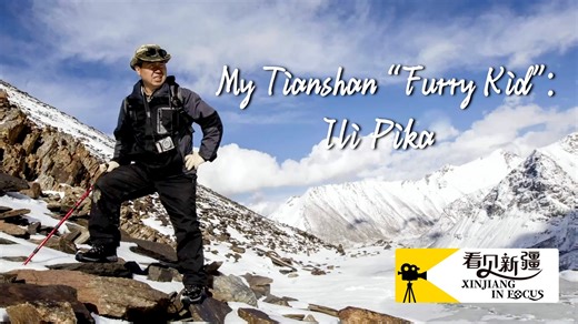 Xinjiang in Focus | My Tianshan “Furry Kid”: Ili Pika Li Weidong discovered and named the endangered Ili pika. In 1986, he first identified this rare species in the Tianshan Mountains in Xinjiang Uygur Autonomous Region, China, subsequently giving it a Chinese name recognized internationally. For more than 30 years, he has dedicated himself to tirelessly searching for and protecting the elusive creature in the high-altitude environment. In the face of climate change, he unwaveringly advocates fo