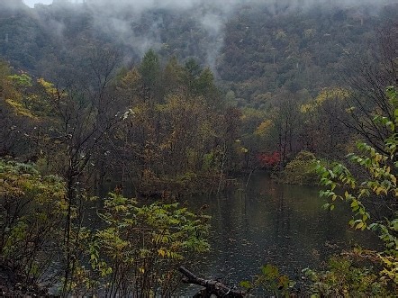 【syhej】更新啦，赶紧来围观吧！