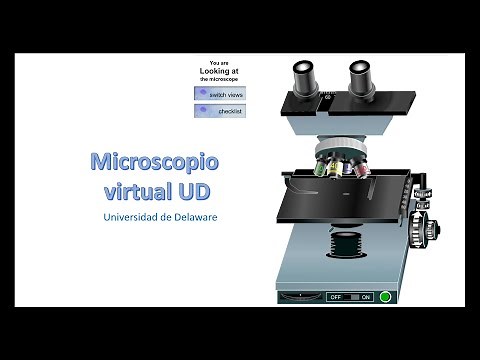 Simulador de microscopio, de la UD (subtítulos en español)