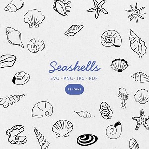 Hand Drawn Sea Shells Illustration Bundle Set, SVG PNG JPG, Icon Black & White, Clipart, Scribble, Transparent. Weddings, Invites - CA001 - Etsy