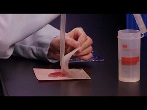 3M Petrifilm Plates Overview